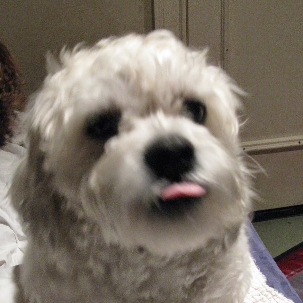 Meet your Posher, Maria